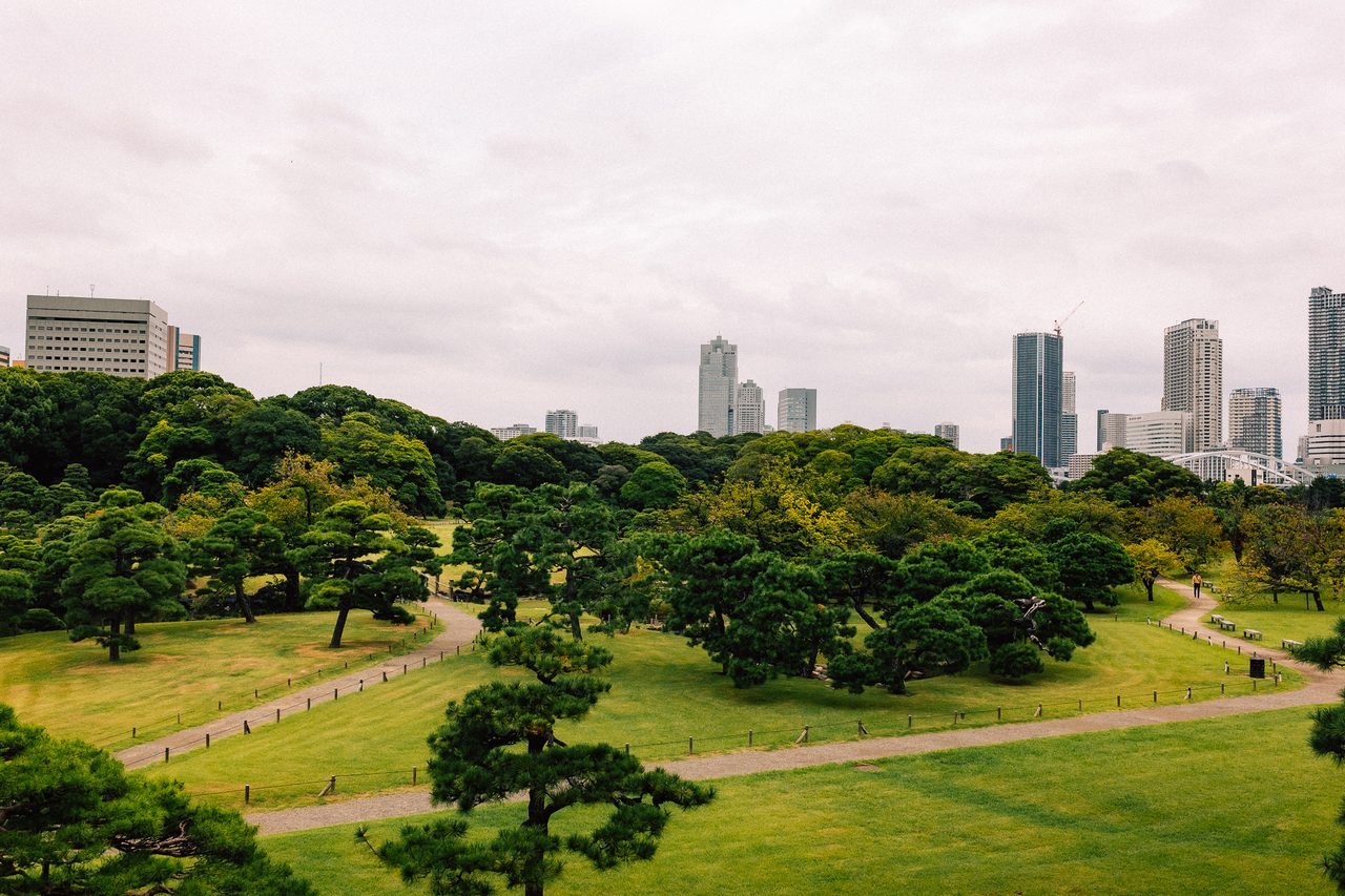 Japanese garden in front of a city skyline