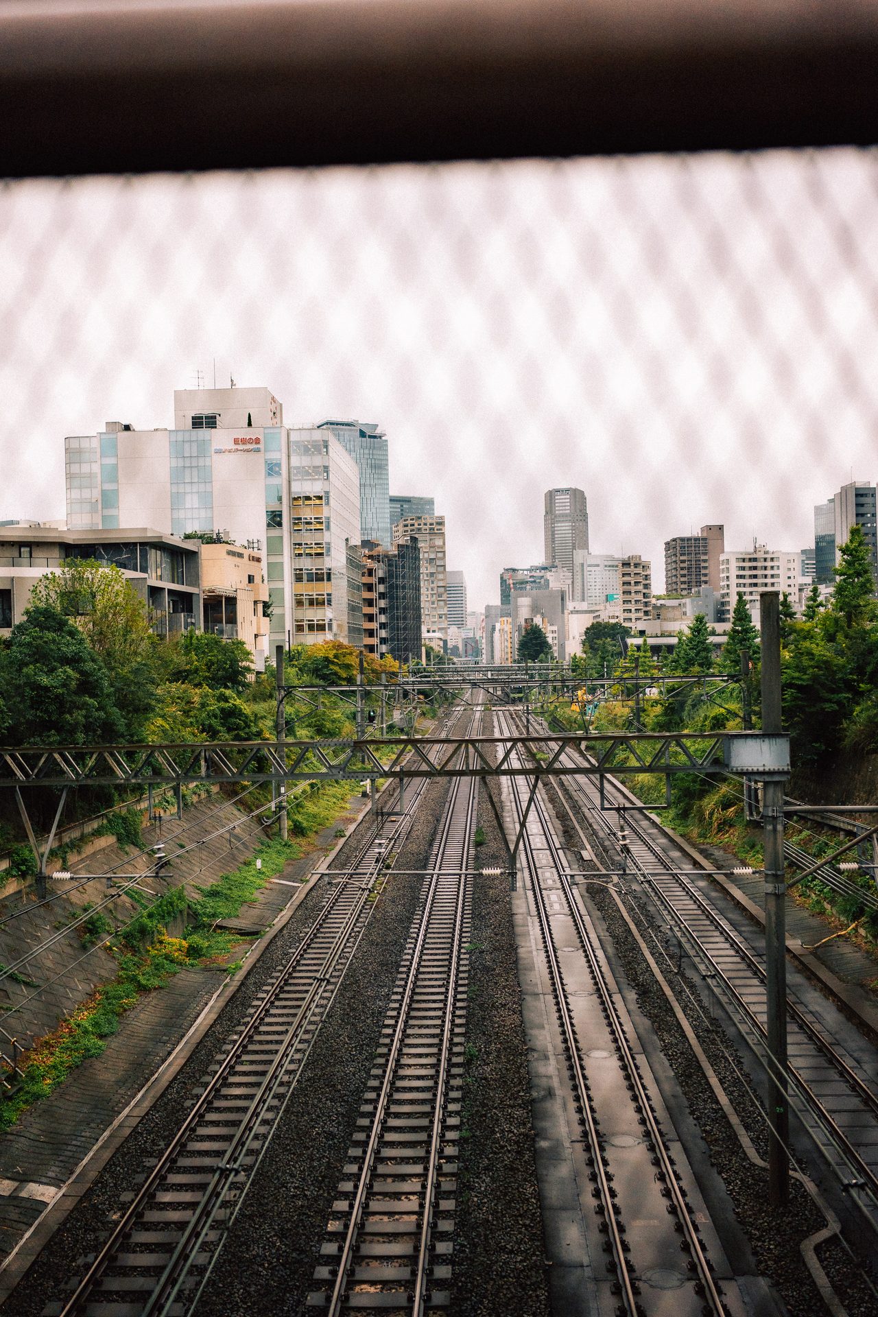 Railway tracks leading between trees toward a Japanese city